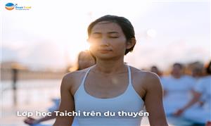 Thiên nhiên trong lành - Kho tàng quý báu giữa Vịnh Hạ Long